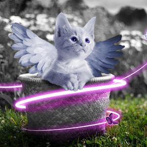 久久精品国模无码一二区
